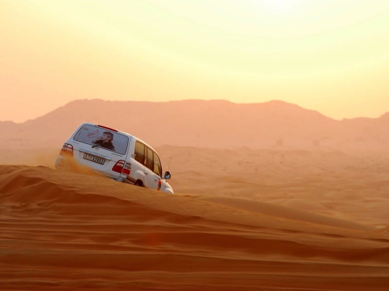 Wüstensafari