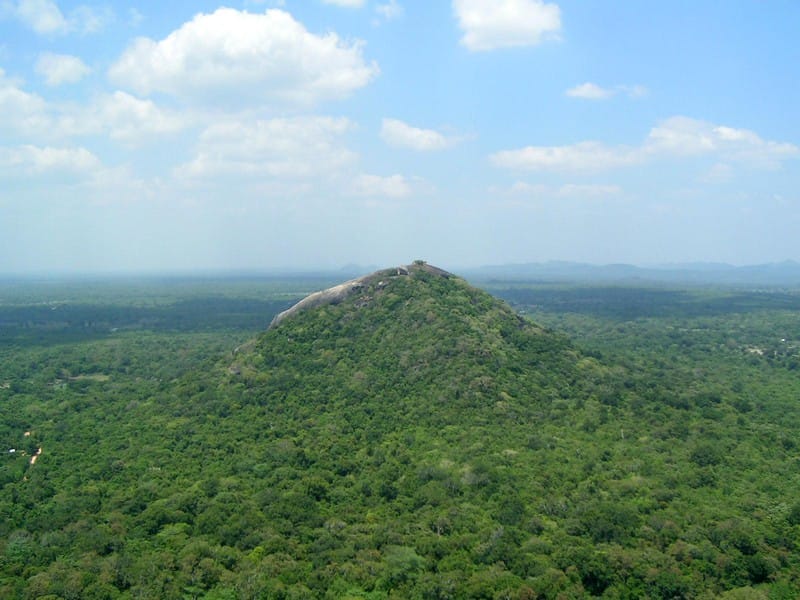 Sri Lanka - Safari & Sightseeing