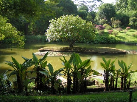 Botanischer Garten