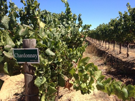 Winelands