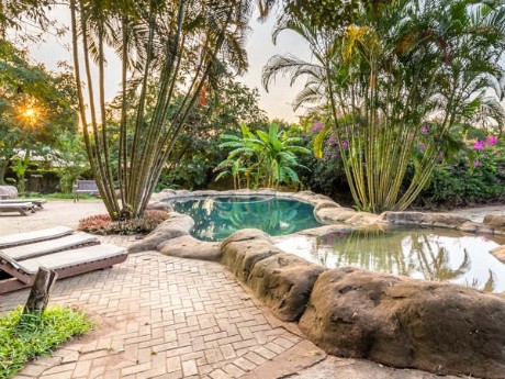 Gecko Lodge Pool