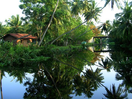 Hamilton Kanal in Negombo
