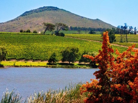 Winelands