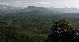 Yapahuwa Rock & der Felsentempel in Sri Lanka