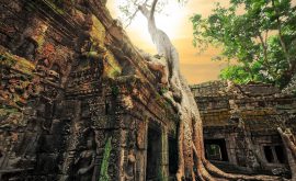 Tempel von Angkor