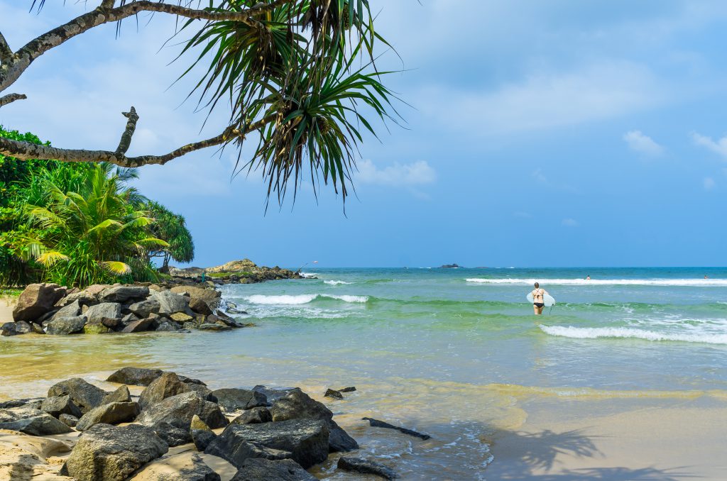 Tropischer Strand und Palme in Bentota in Sri Lanka