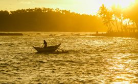 Die Südküste Sri Lankas