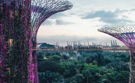 Singapur