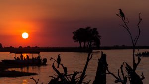 Unvergessliche Hausbootfahrt auf dem Chobe