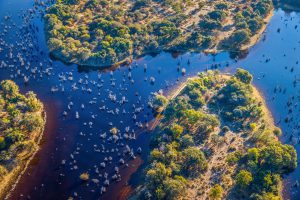 Flugsafari, Hausboot & Komfort-Camping in Botswana