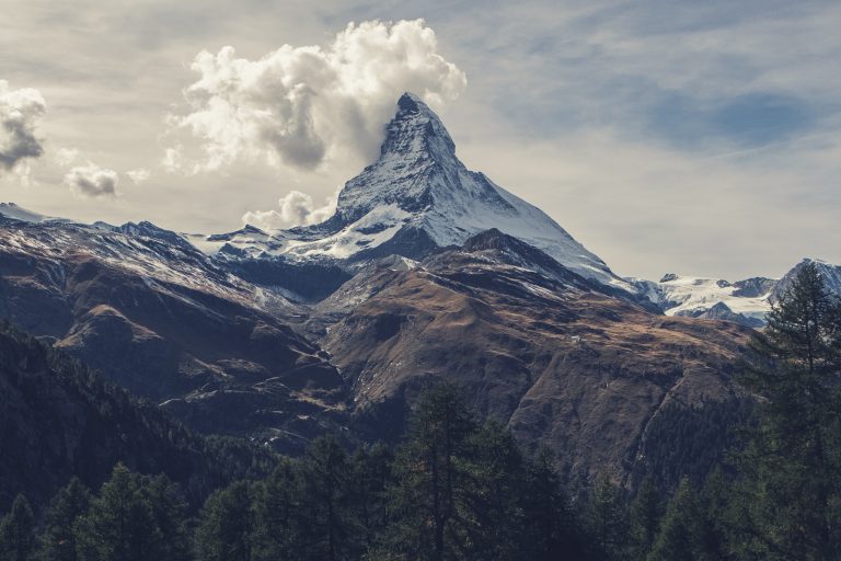 Viamonda expandiert in die Schweiz und nach Österreich 