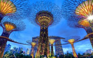 Singapur, Gardens by the Bay, Supertrees