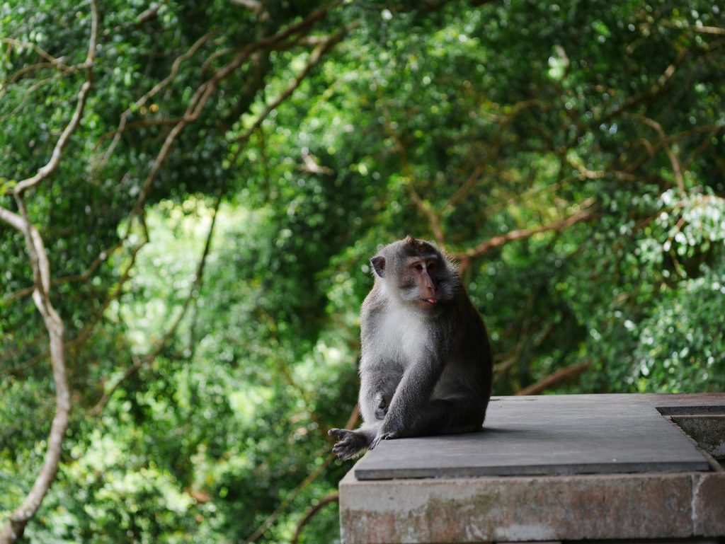 Ubud
