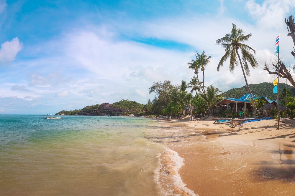 strand palmen meer insel koh phangan thailand