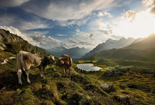 Österreich & Schweiz