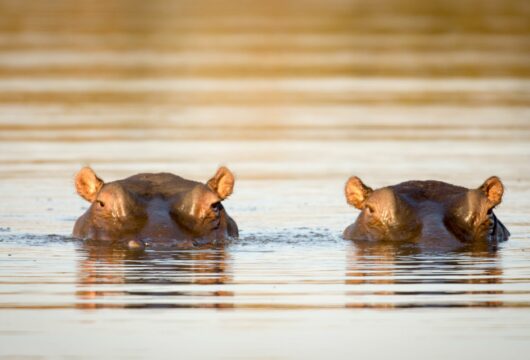 Namibia