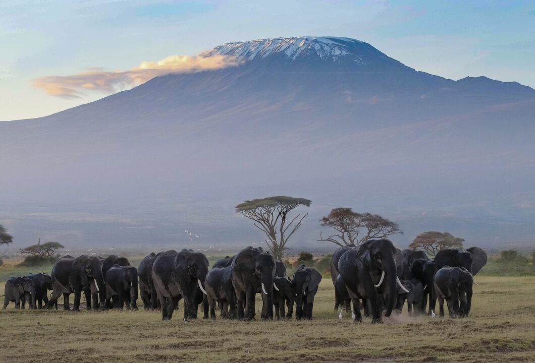 Amboseli Nationalpark