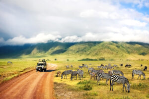 Privatreise: Afrikas vielfältige Tierwelt entdecken & Baden auf Sansibar