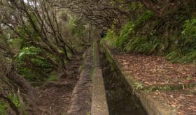 Levada, Madeira, Portugal, Wanderung