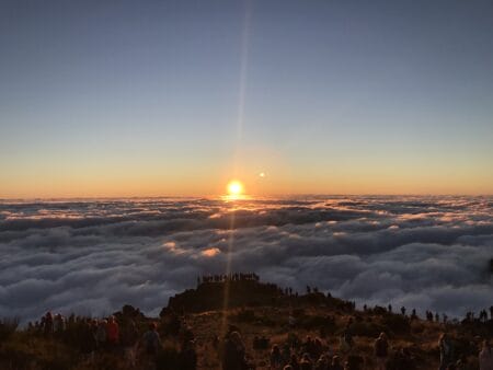 Madeira – ein Ausflug ins Paradies