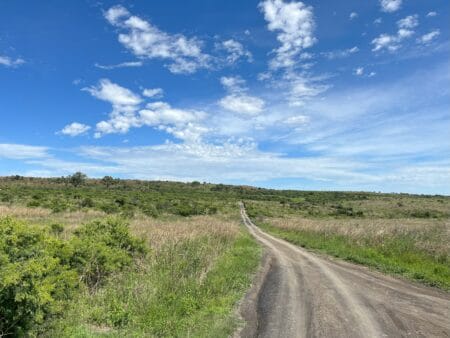 Suedafrika Nambiti Private Game Reserve Weg Safari Landschaft