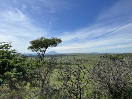 Suedafrika Namibiti Private Game Reserve Landschaft