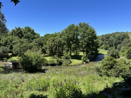 Suedafrika Ardmore Ceramics Landschaft