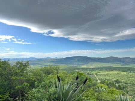 Suedafrika Spionkop Landschaft